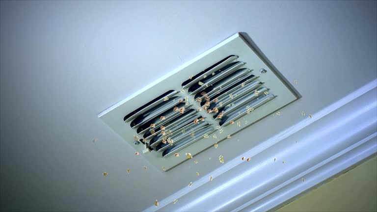 Best Best Air Duct Cleaning Company  in Utica, IN