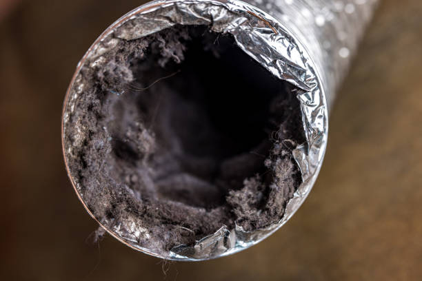 Best Affordable HVAC Duct Cleaning  in Utica, IN